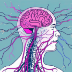 Vagus Nerve Stimulation: A Promising Treatment for Depression and Neuropsychiatric Disorders