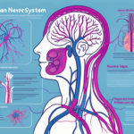 Understanding Left Vagus Nerve Disorders: Causes, Symptoms, and Treatments